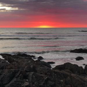 Meet your Posher, Marianne